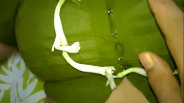 menor follada coche chico