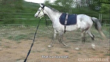 jovencita follada salvajemente animal humano